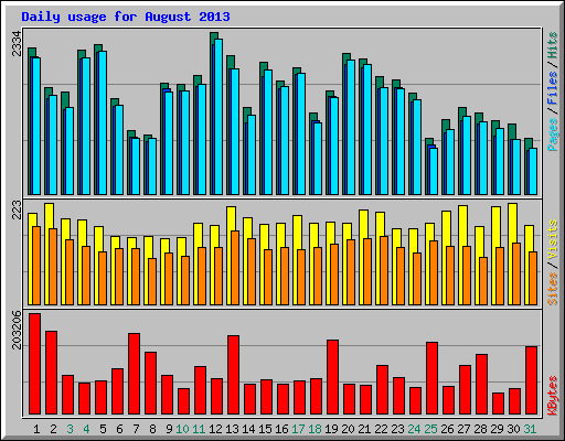 Daily usage for August 2013