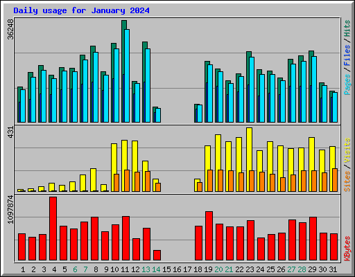 Daily usage for January 2024