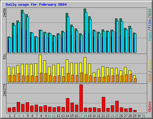 Daily usage for February 2024