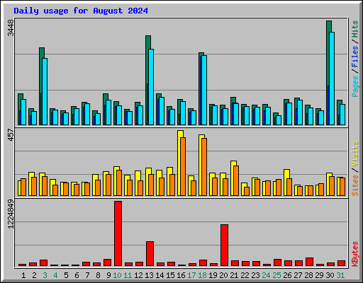 Daily usage for August 2024