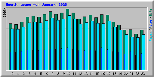 Hourly usage for January 2023