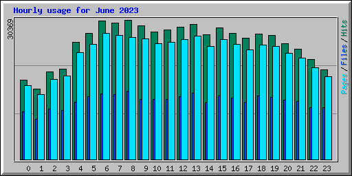 Hourly usage for June 2023