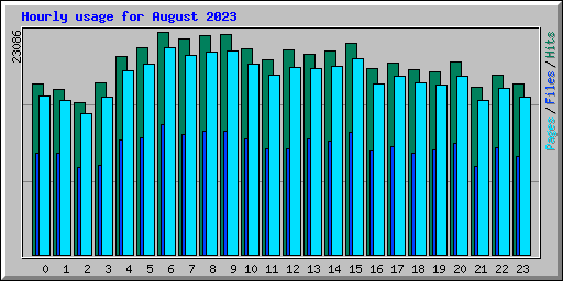 Hourly usage for August 2023