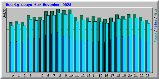 Hourly usage for November 2023