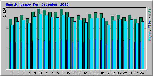 Hourly usage for December 2023