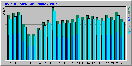 Hourly usage for January 2024