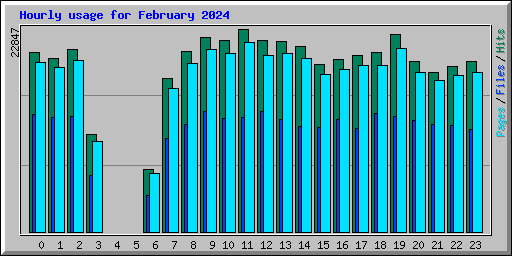 Hourly usage for February 2024