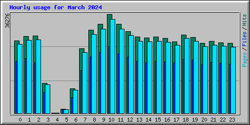 Hourly usage for March 2024