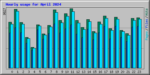 Hourly usage for April 2024