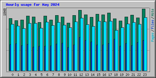 Hourly usage for May 2024