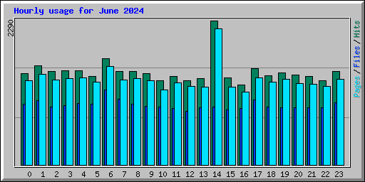 Hourly usage for June 2024