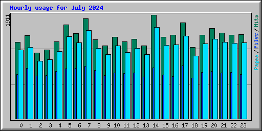 Hourly usage for July 2024