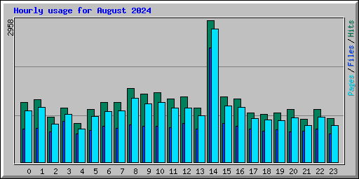 Hourly usage for August 2024