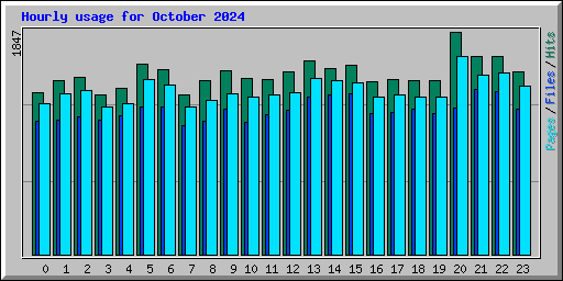 Hourly usage for October 2024