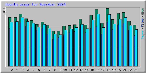 Hourly usage for November 2024